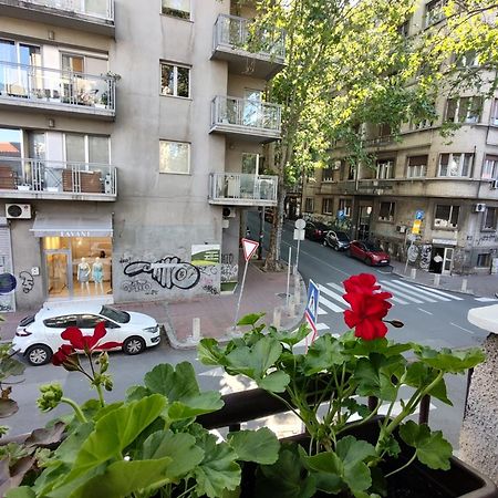Bgholik Studio Apartment Belgrad Dış mekan fotoğraf